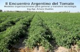 II Encuentro Argentino del Tomate Modelos organizacionales para generar y transferir tecnología Ing Agr. Arturo Ovalles.