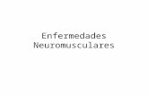 Enfermedades Neuromusculares. Definición ENM Las ENM son un conjunto de más de 150 enfermedades neurológicas que afectan a la musculatura y al sistema.