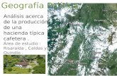 Análisis acerca de la producción de una hacienda típica cafetera. Área de estudio : Risaralda, Caldas y Quindío. Geografía Política.