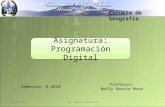 Escuela de Geografía Asignatura: Programación Digital Asignatura: Programación Digital Profesora: Nelly García Mora Semestre: B-2010 Sem B-2010Ing. Nelly.