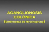 AGANGLIONOSIS COLÓNICA ( Enfermedad de Hirschsprung )
