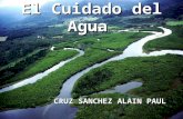 El Cuidado del Agua CRUZ SANCHEZ ALAIN PAUL.  El 97% del agua en la tierra está en los océanos.  El 2% está congelada.  Sólo el 1% es el agua potable.