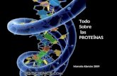 Todo Sobre las PROTEÍNAS Marcela Alarcón 2009. Las proteínas son una serie de compuestos orgánicos principales de las células considerados como esenciales.