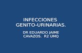 INFECCIONES GENITO-URINARIAS. DR EDUARDO JAIME CAVAZOS. R2 UMQ.