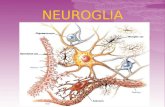 El sistema nervioso está constituido de dos tipos celulares: Neurona Neuroglia o glía ** ** Hay de 10 a 50 veces más neuroglia que neuronas: “la neurona.