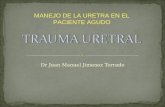 Dr Juan Manuel Jimenez Torrado MANEJO DE LA URETRA EN EL PACIENTE AGUDO.