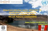 03/08/2015 1 Algunas pautas para afrontar la emergencia planetaria hacia la construcción de un futuro sostenible Juan Carlos GUEVARA J. Lima-Perú.