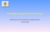Patología Respiratoria neonatal Síndrome de distress respiratorio neonatal.
