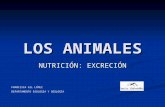 LOS ANIMALES NUTRICIÓN: EXCRECIÓN FRANCISCA GIL LÓPEZ DEPARTAMENTO BIOLOGÍA Y GEOLOGÍA.