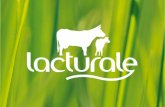 Identidad  Lacturale fue fundado en el año 2005 por un grupo de 25 ganaderos de Navarra que deciden unirse para comercializar la leche producida en sus.