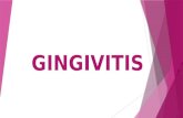 GINGIVITIS. DEFINICIÓN se conoce como gingivitis a una hinchazón de características patológicas que se produce en las encías debido, por lo general, a.