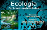 Ecología Factores ambientales Maestra: Pérez Cruz Paula Alumnos: Castro Ochoa Alma Gloria Martínez Ortega Brandon 6°”E”
