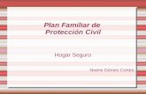 Plan Familiar de Protección Civil Hogar Seguro Noemi Gómez Cortes.
