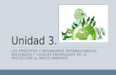Unidad 3. LOS PRINCIPIOS Y ORGANISMOS INTERNACIONALES, NACIONALES Y LOCALES ENCARGADOS DE LA PROTECCIÓN AL MEDIO AMBIENTE.