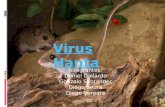 Virus En biología, un virus (del latín virus, «toxina» o «veneno») es una entidad infecciosa microscópica que sólo puede multiplicarse dentro de las células.