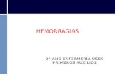 HEMORRAGIAS 2º AÑO ENFERMERÍA USEK PRIMEROS AUXILIOS.