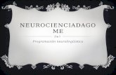 NEUROCIENCIADAGOME Programación neurolingüística.