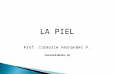 LA PIEL Prof. Cormarie Fernandez P. cormarie@ula.ve.