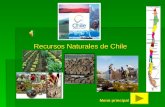 Recursos Naturales de Chile Menú principal MENÚ PRINCIPAL INDICE  Objetivo de la clase Objetivo de la clase Objetivo de la clase  Mapa conceptual recursos.