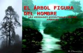 EL ÁRBOL FIGURA DEL HOMBRE LAS VERDADES ESPIRITUALES DE LOS ARBOLES.