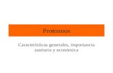Protozoos Características generales, importancia sanitaria y económica.