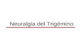 Neuralgia del Trigémino. NEURALGIA TRIGEMINO (V par) Epidemiologia  Constituye el 89% de todas las algias faciales.  Suele desarrollarse después de.