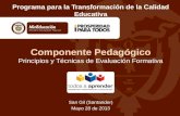 Componente Pedagógico Principios y Técnicas de Evaluación Formativa San Gil (Santander) Mayo 28 de 2013 Programa para la Transformación de la Calidad Educativa.