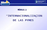 Secretaría de Comercio y Relaciones Económicas Internacionales “INTERNACIONALIZACION DE LAS PYMES” MÓDULO 1.
