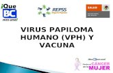 VIRUS PAPILOMA HUMANO (VPH) Y VACUNA. En la actualidad se ha demostrado que la etiología del Cáncer Cérvico Uterino es viral El virus del papiloma humano