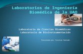Laboratorio de Ciencias Biomédicas Laboratorio de Bioinstrumentación Presentado por: Cristian Hurtado.