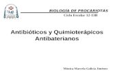 Antibióticos y Quimioterápicos Antibaterianos BIOLOGÍA DE PROCARIOTAS Ciclo Escolar 12-13B Mónica Marcela Galicia Jiménez.