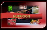La nutrición es la ciencia encargada del estudio y mantenimiento del equilibrio homeostático del organismo a nivel molecular y macrosistémico, garantizando.