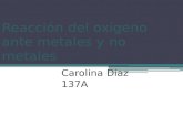 Reacción del oxígeno ante metales y no metales Carolina Díaz 137A.