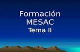 Formación MESAC Tema II. Ritos iniciales Qué son: Todo lo que precede a la liturgia de la palabra, es decir, el canto de entrada, el saludo, el acto penitencial,