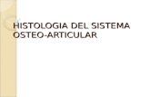 HISTOLOGIA DEL SISTEMA OSTEO-ARTICULAR. TIPOS DE HUESO CARACTERISTICASEJEMPLOS Clasificación De los huesos en relación con su forma LARGOSPresentan.