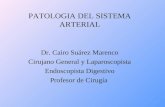 PATOLOGIA DEL SISTEMA ARTERIAL Dr. Cairo Suárez Marenco Cirujano General y Laparoscopista Endoscopista Digestivo Profesor de Cirugía.