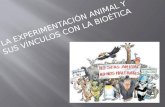 LA EXPERIMENTACIÓN ANIMAL Y SUS VÍNCULOS CON LA BIOÉTICA.