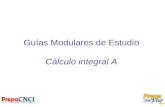Guías Modulares de Estudio Cálculo integral A. Semana 1: Integral de Riemann.