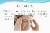 CEFALEA Dolor que afecta la cabeza, de las cejas hacia arriba hasta la región occipital del cráneo.