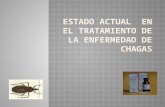 La enfermedad de Chagas existe en el continente Americano hace mas de 9000 años  En restos de momias humanas exhumadas en regiones norte de Chile y.