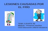 LESIONES CAUSADAS POR EL FRÍO TEMA 3 (PARTE III) Módulo : Primeros auxilios CGS Educación infantil distancia.