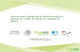 Proyecto piloto “Introducción de eficiencia energética y Sistemas de Gestión de Energía en empresas de México”