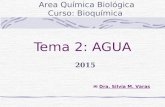 Tema 2: AGUA Area Química Biológica Curso: Bioquímica  Dra. Silvia M. Varas 2015.
