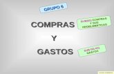 COMPRASY GASTOS GASTOS GRUPO 6 SUB(60) COMPRAS Y SUS PROBLEMÁTICAS SUB (61-69) GASTOS ELENA CABRERA.