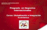 Pregrado en Negocios Internacionales Curso: Globalización e Integración Económica.
