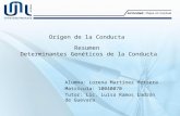 Origen de la Conducta Resumen Determinantes Genéticos de la Conducta Alumna: Lorena Martínez Herrera Matrícula: 10040070 Tutor: Lic. Luisa Ramos Ladrón.
