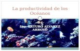 Ing. ARTURO ALVAREZ ARROYO La productividad de los Océanos.