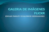 EDGAR FARLEY GUALDRON HERNANDEZ. ¿Qué es el Flickr?