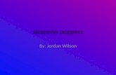 Jalapeno poppers By: Jordan Wilson commands Ir a la tienda.