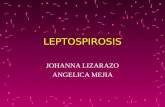 LEPTOSPIROSIS JOHANNA LIZARAZO ANGELICA MEJIA. La leptospirosis es una enfermedad febril aguda, que afecta a algunos animales y al ser humano. Es producida.